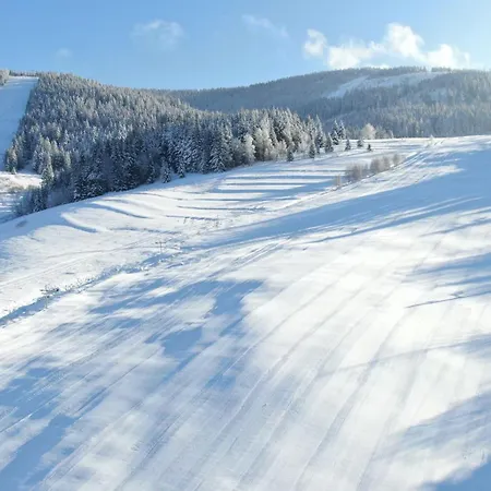 Chaty Ski Telgart Daire *