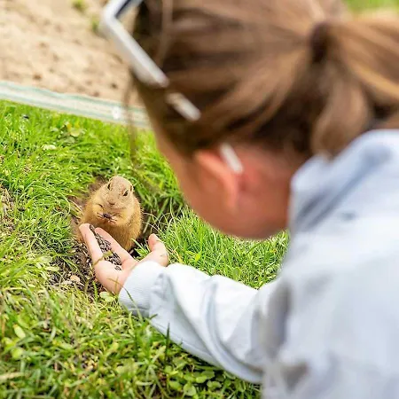 Wellness Chmaroska - * Telgárt