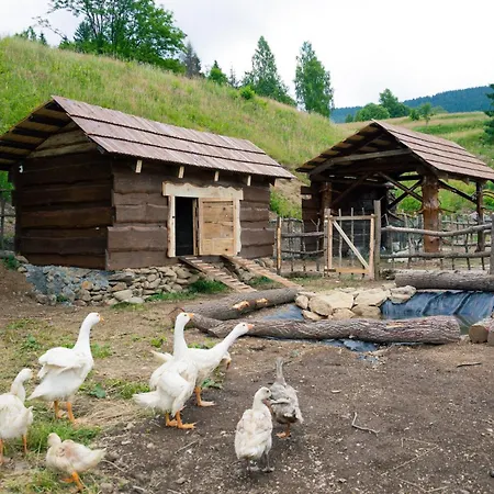 Wellness Chmaroska - Apartament *