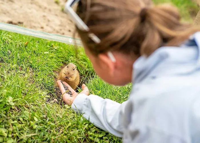 Wellness Chmaroska - * Telgárt