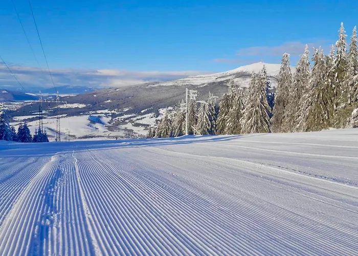 Appartement Wellness Chmaroska - *