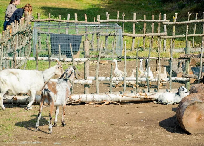 Appartement Wellness Chmaroska - Telgárt